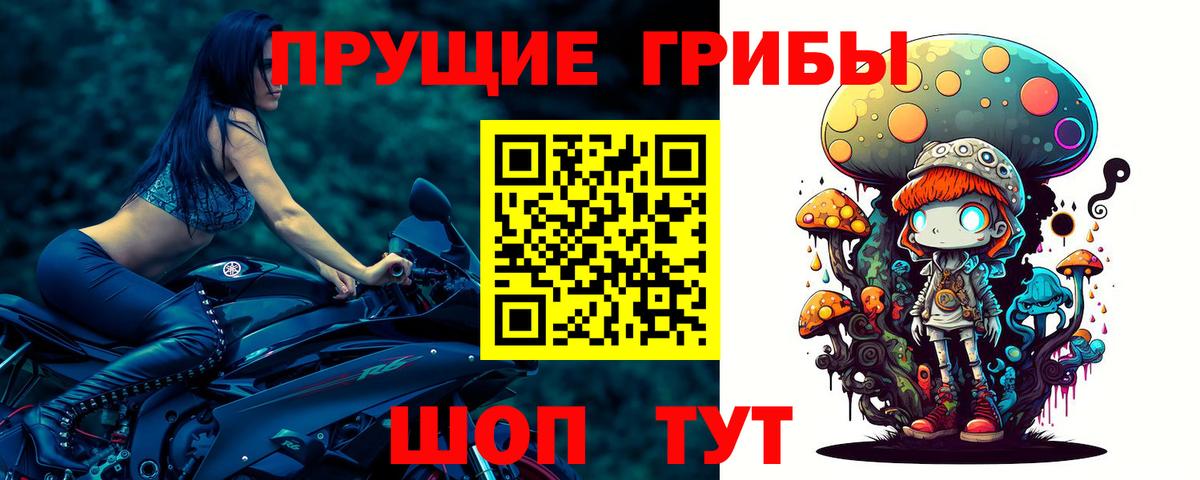 Ртищево  Галлюциногенные грибы Psilocybe  Вход с VPN 
