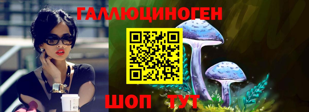 Псилоцибиновые грибы MAGIC MUSHROOMS Ртищево