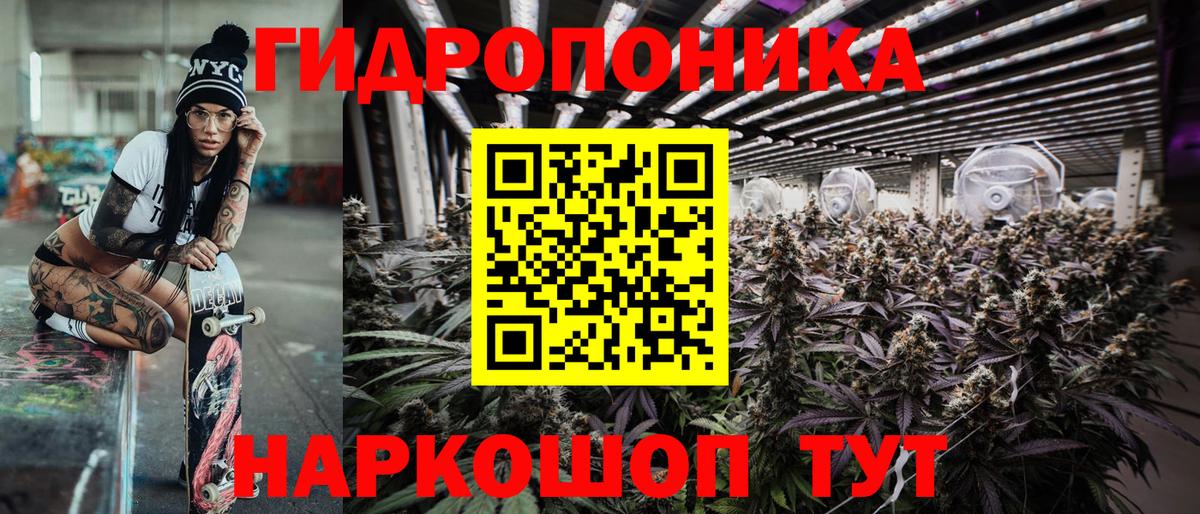 Бошки Шишки гибрид Ртищево